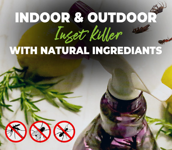 INDOOR & OUTDOOR INSET KILLER WITH NATURAL INGREDIENTS!