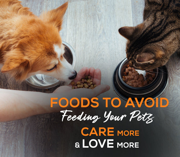 FOODS TO AVOID FEEDING YOUR PETS – CARE MORE & LOVE MORE!