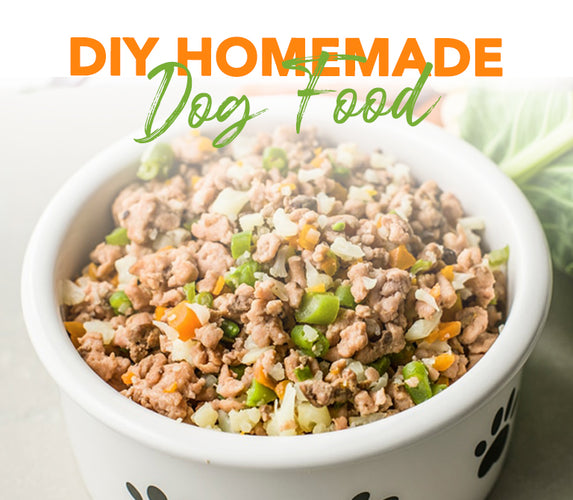 HOMEMADE FOOD DIETS FOR YOUR PET!