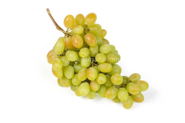 Green Grapes 250g