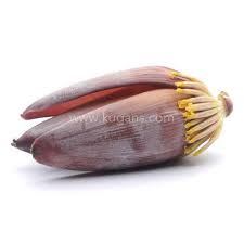BANANA FLOWER