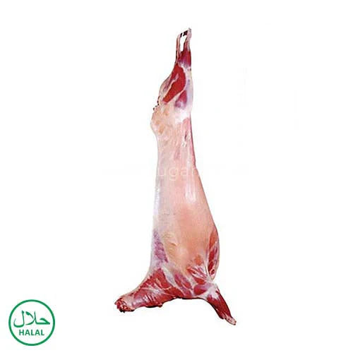 FRESH HALF SHEEP 12KG