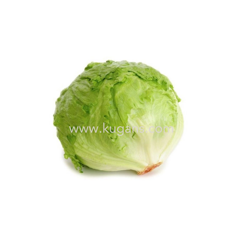 ICEBERG 1PCS