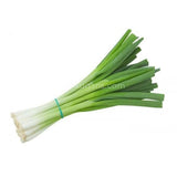 Buy cheap SPRING ONION Online