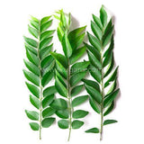 Buy cheap CURRY LEAF Online