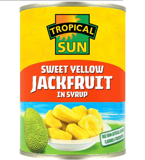 TS JACKFRUIT IN SYRUP 560G