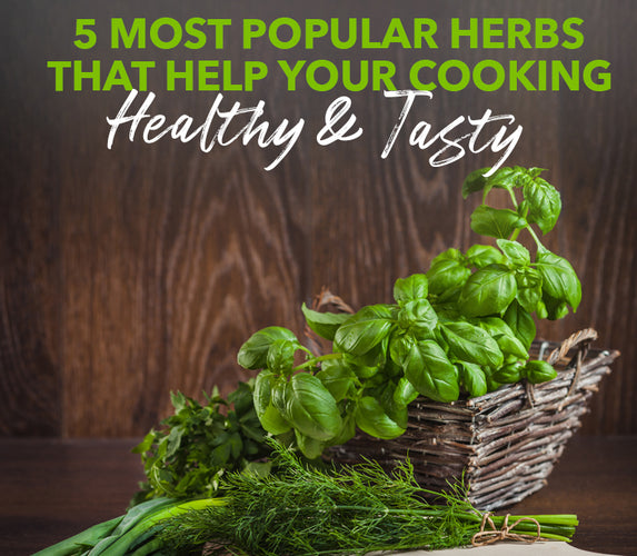 5 MOST POPULAR HERBS THAT HELP YOUR COOKING HEALTHY & TASTY!