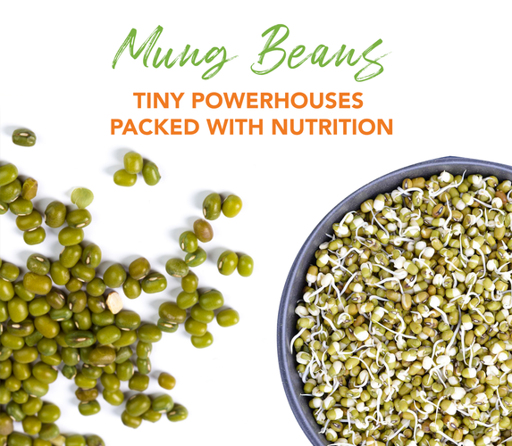 MUNG BEANS – TINY POWERHOUSES PACKED WITH NUTRITION!