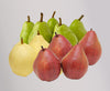 Pears