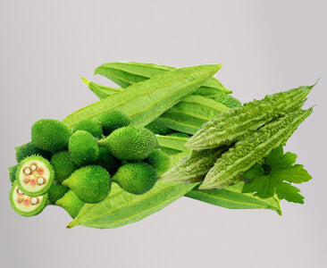 Snake Gourd & Bottle Gourd