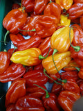 Buy cheap Hot Pepper 250g Online