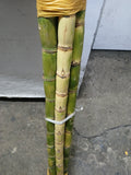 Buy cheap Sugar Cane 250g Online