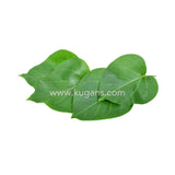 Buy cheap Kurunja Leaves 100g Online