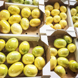 Buy cheap Sun Fruit Box 1pcs Online