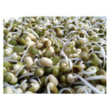 Buy cheap Sprouts 250g Online