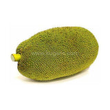 Buy cheap Green Jack 1pcs Online