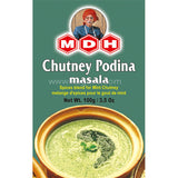 Buy cheap Mdh Chutney Podina 100g Online