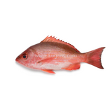 Buy cheap Angel Fresh Red Snapper 1kg Online