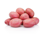 Buy cheap Red Potatoes 5 Kg Online