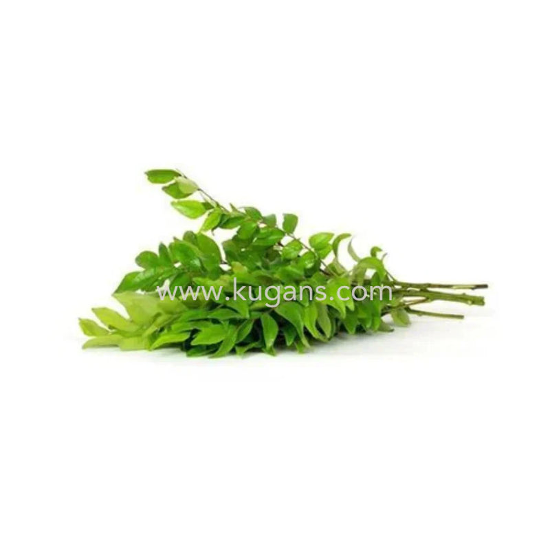 CURRY LEAF