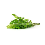 Buy cheap Curry Leaf 1pack Online