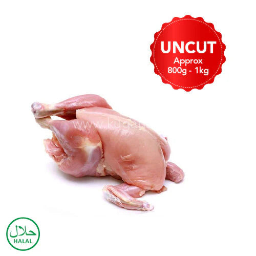 Fresh Baby Chicken Skin Off Uncut