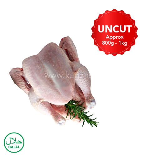 Fresh Baby Chicken Skin On Uncut
