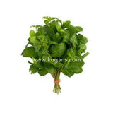 Buy cheap Fresh Mint Bunch 1pcs Online