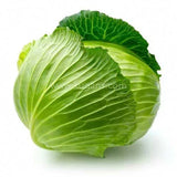 Buy cheap Green Cabbage 1pcs Online