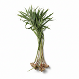 Buy cheap Ginger 1 Pc Online