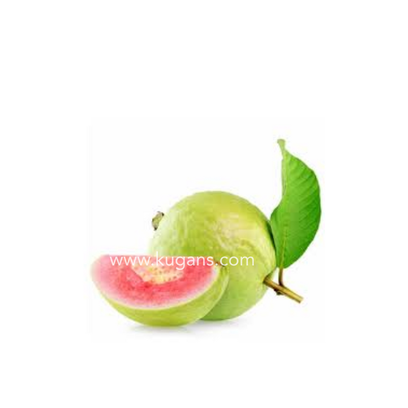 GUAVA 1PCS