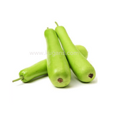 Buy cheap Long Dudhi 250g Online
