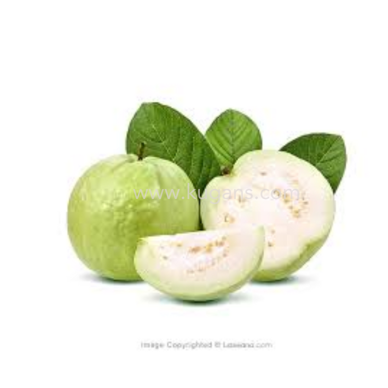 SRILANKAN GUAVA 1KG