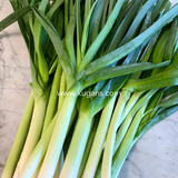 Buy cheap Leeks 500g Online