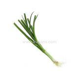 Buy cheap Spring Onion 1pcs Online