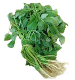 Buy cheap Leafy Greens 1 Bunch Online