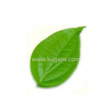 Buy cheap Pan Leaf 1 Pcs Online