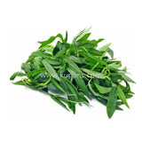 Buy cheap Ponnanganni 1bunch Online
