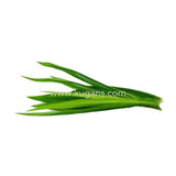 Buy cheap Ramba Leaf 1 Pcs Online