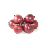 Buy cheap Salad Onion 5kg Online