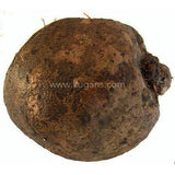 Buy cheap Suran Fruit Box 1pcs Online
