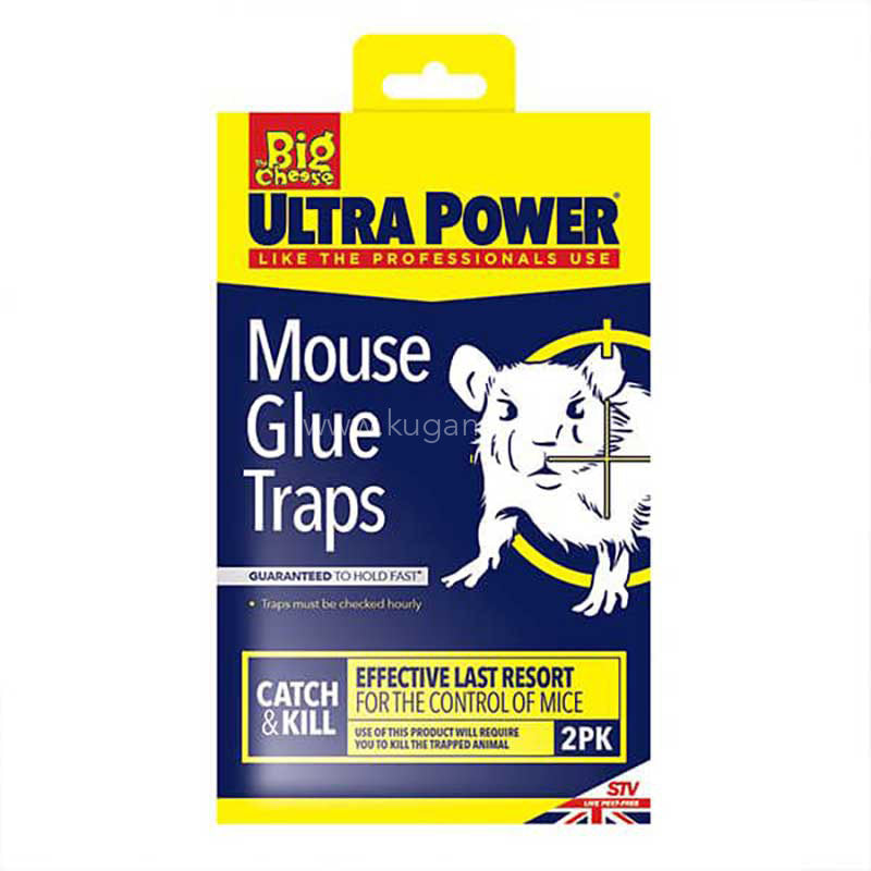 Buy cheap BIG CHEESE MOUSE GLUE TRAPS 2 Online
