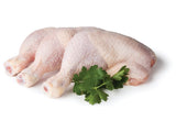 Buy cheap Fresh Chicken Online