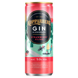 Buy cheap Kopparberg Gin Straw & Lime Online